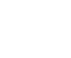 Twinkle Holiday Lighting Logo