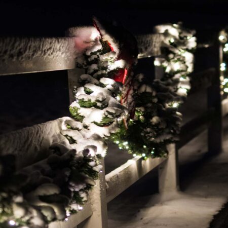 fence decorated with lights and garland