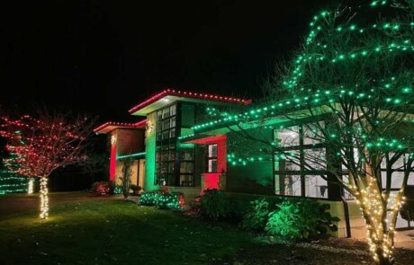 house and trees decorated with green and red lights