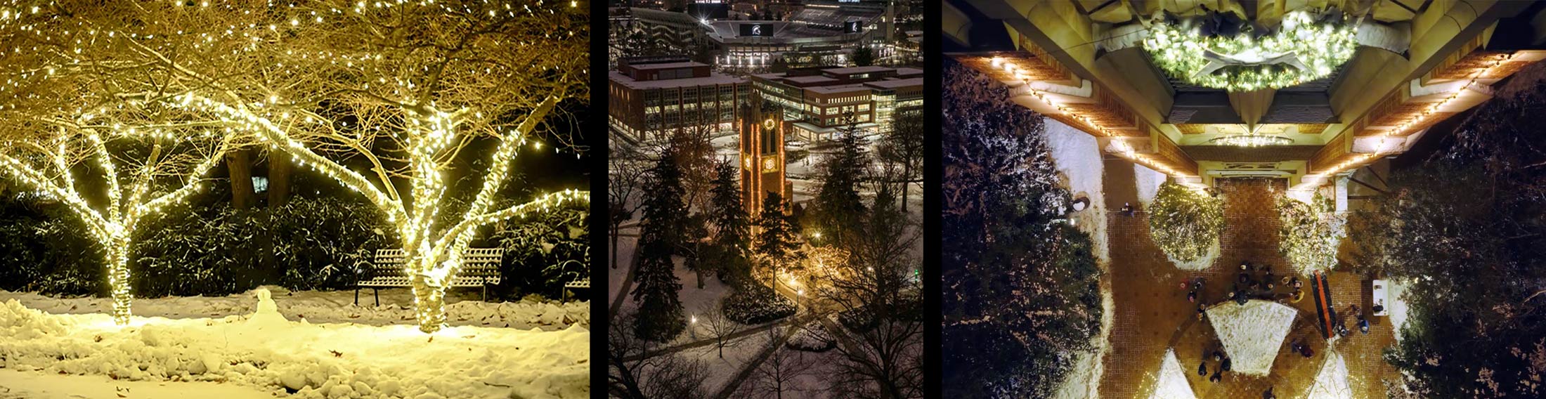 collage of msu lighting display - trees and tower closeup and at distance
